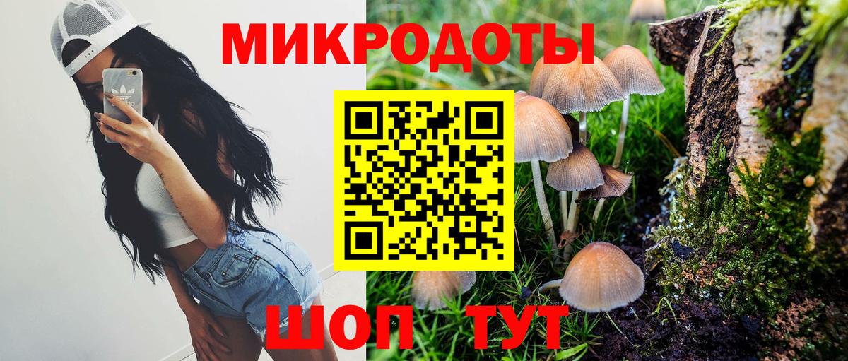 Десногорск  Псилоцибиновые грибы Psilocybe  даркнет сайт  Вход с VPN 